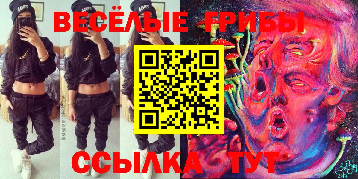 Домодедово  Псилоцибиновые грибы ЛСД  Вход с VPN 